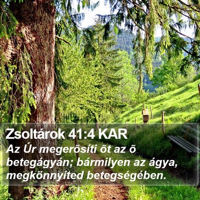 Zsoltárok 41:4 KAR Bible Verse Image