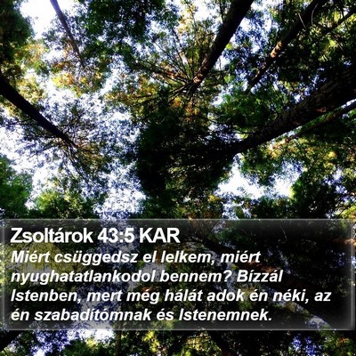 Zsoltárok 43:5 KAR Bible Verse Image