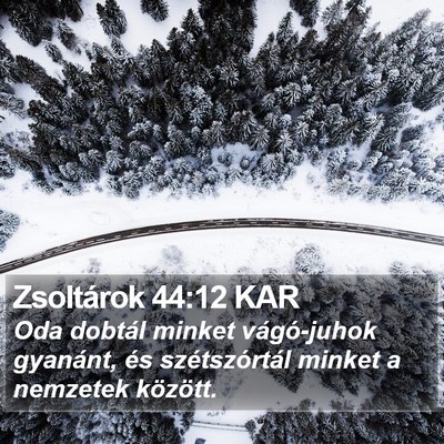 Zsoltárok 44:12 KAR Bible Verse Image