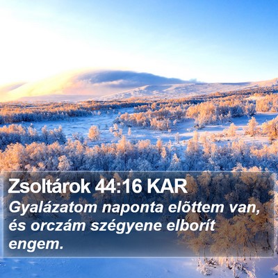 Zsoltárok 44:16 KAR Bible Verse Image