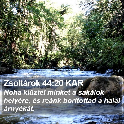 Zsoltárok 44:20 KAR Bible Verse Image
