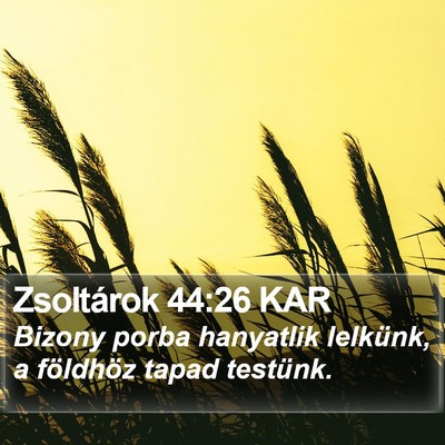 Zsoltárok 44:26 KAR Bible Verse Image
