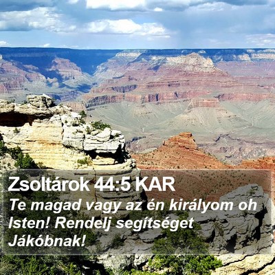 Zsoltárok 44:5 KAR Bible Verse Image