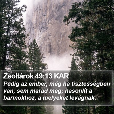 Zsoltárok 49:13 KAR Bible Verse Image