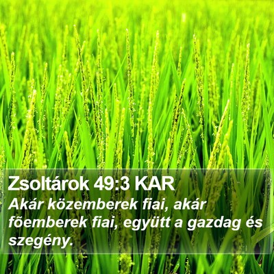 Zsoltárok 49:3 KAR Bible Verse Image