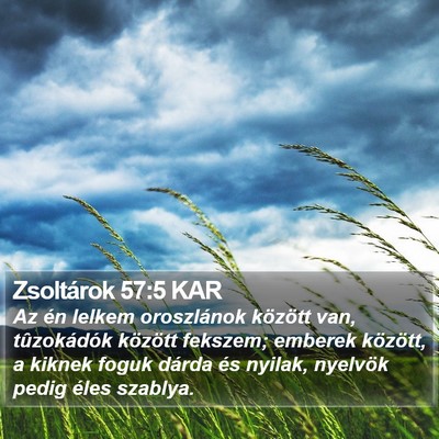 Zsoltárok 57:5 KAR Bible Verse Image
