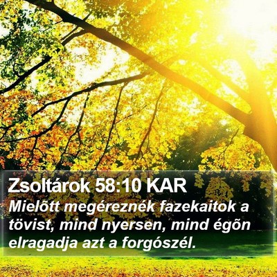 Zsoltárok 58:10 KAR Bible Verse Image