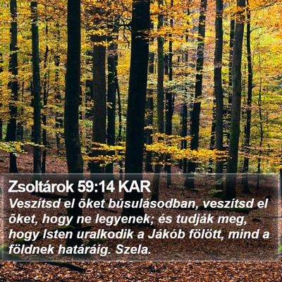 Zsoltárok 59:14 KAR Bible Verse Image
