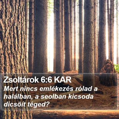 Zsoltárok 6:6 KAR Bible Verse Image