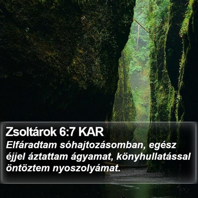 Zsoltárok 6:7 KAR Bible Verse Image