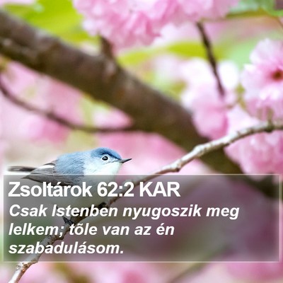 Zsoltárok 62:2 KAR Bible Verse Image