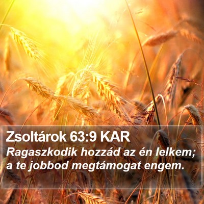 Zsoltárok 63:9 KAR Bible Verse Image