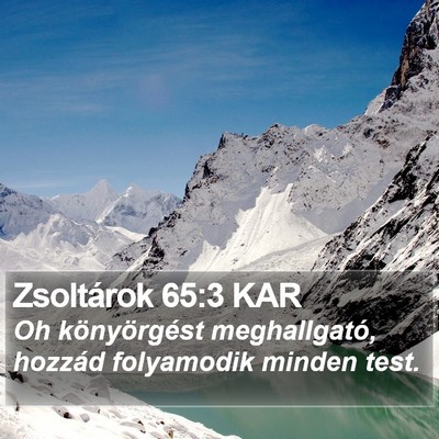 Zsoltárok 65:3 KAR Bible Verse Image