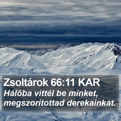 Zsoltárok 66:11 KAR Bible Verse Image