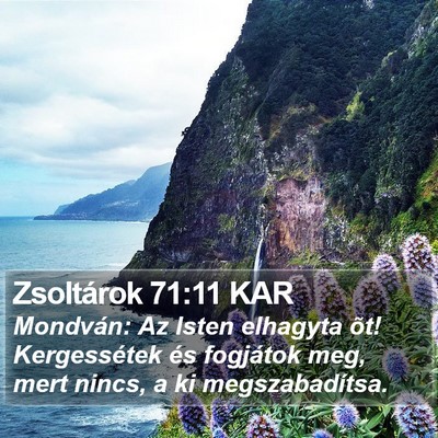 Zsoltárok 71:11 KAR Bible Verse Image