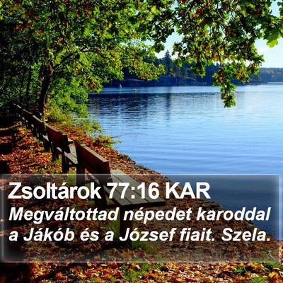 Zsoltárok 77:16 KAR Bible Verse Image