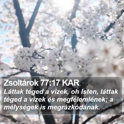 Zsoltárok 77:17 KAR Bible Verse Image