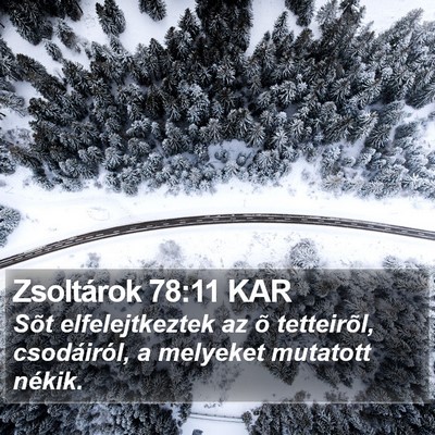 Zsoltárok 78:11 KAR Bible Verse Image