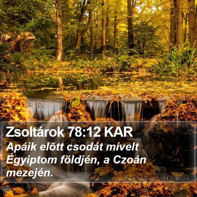 Zsoltárok 78:12 KAR Bible Verse Image