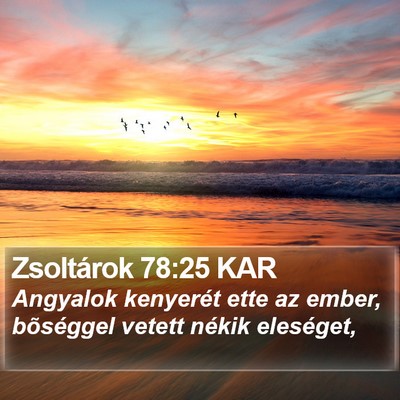 Zsoltárok 78:25 KAR Bible Verse Image