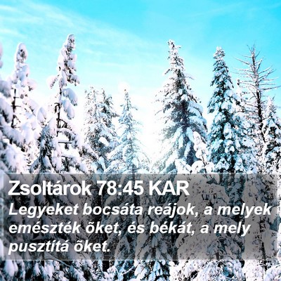 Zsoltárok 78:45 KAR Bible Verse Image