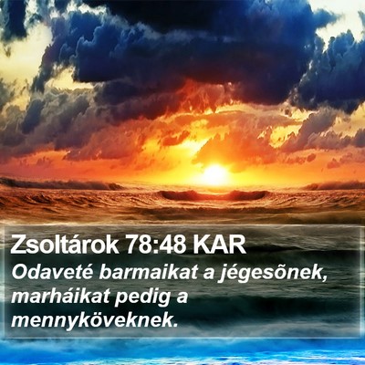 Zsoltárok 78:48 KAR Bible Verse Image