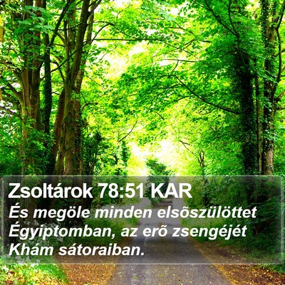 Zsoltárok 78:51 KAR Bible Verse Image