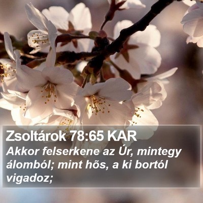 Zsoltárok 78:65 KAR Bible Verse Image