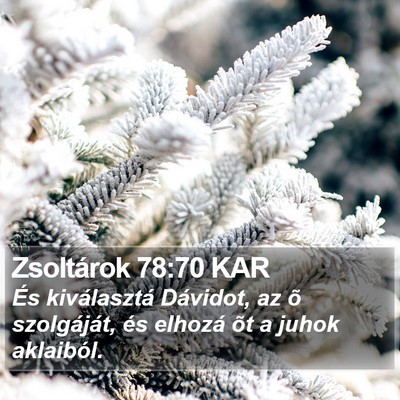Zsoltárok 78:70 KAR Bible Verse Image