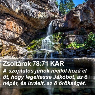 Zsoltárok 78:71 KAR Bible Verse Image
