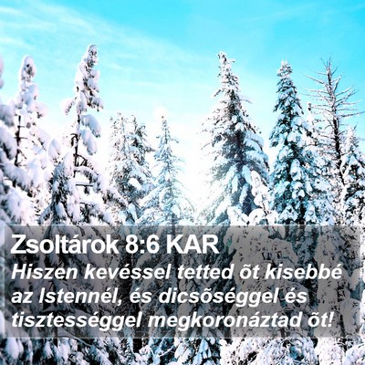 Zsoltárok 8:6 KAR Bible Verse Image