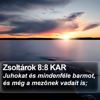 Zsoltárok 8:8 KAR Bible Verse Image