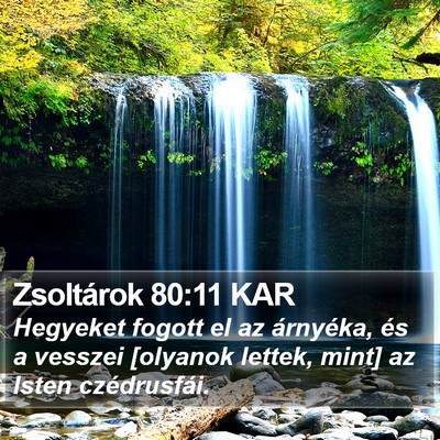 Zsoltárok 80:11 KAR Bible Verse Image