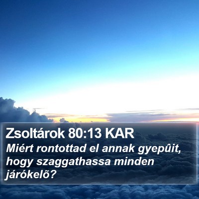 Zsoltárok 80:13 KAR Bible Verse Image