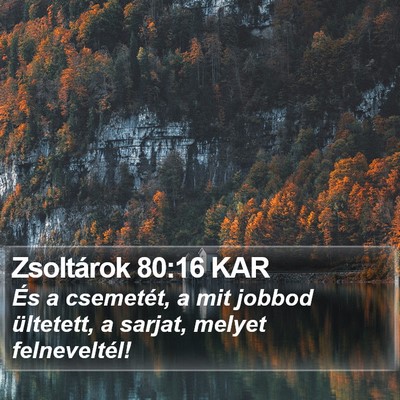 Zsoltárok 80:16 KAR Bible Verse Image