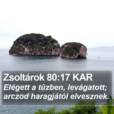 Zsoltárok 80:17 KAR Bible Verse Image