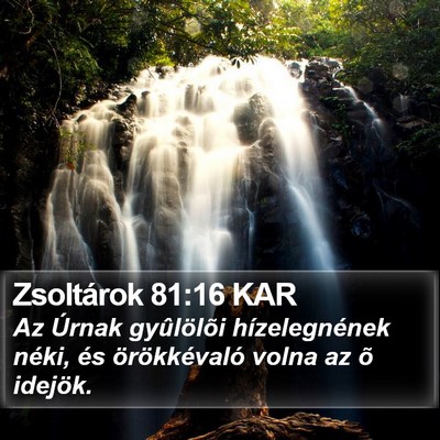 Zsoltárok 81:16 KAR Bible Verse Image