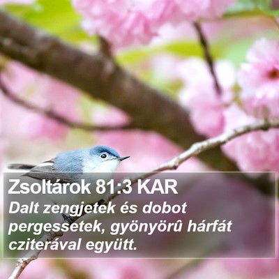 Zsoltárok 81:3 KAR Bible Verse Image