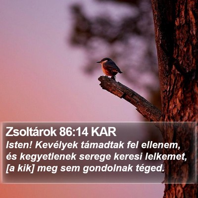 Zsoltárok 86:14 KAR Bible Verse Image