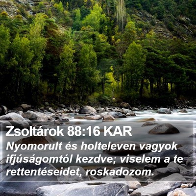 Zsoltárok 88:16 KAR Bible Verse Image
