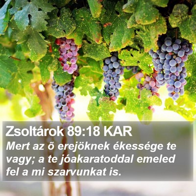 Zsoltárok 89:18 KAR Bible Verse Image
