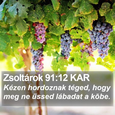 Zsoltárok 91:12 KAR Bible Verse Image