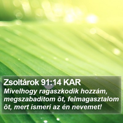 Zsoltárok 91:14 KAR Bible Verse Image