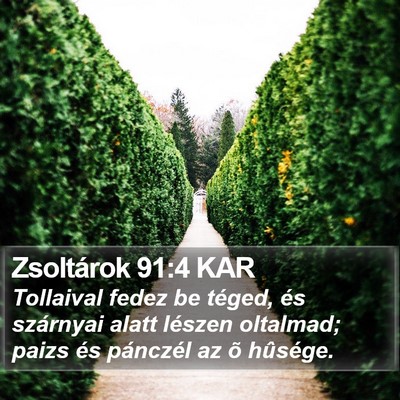Zsoltárok 91:4 KAR Bible Verse Image