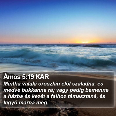Ámos 5:19 KAR Bible Verse Image