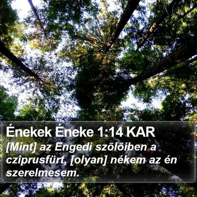 Énekek Éneke 1:14 KAR Bible Verse Image