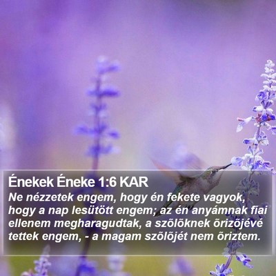 Énekek Éneke 1:6 KAR Bible Verse Image