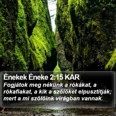 Énekek Éneke 2:15 KAR Bible Verse Image