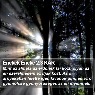 Énekek Éneke 2:3 KAR Bible Verse Image