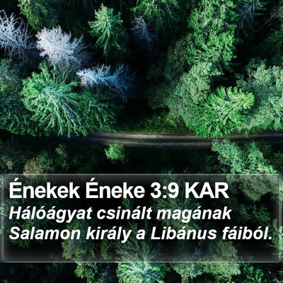 Énekek Éneke 3:9 KAR Bible Verse Image